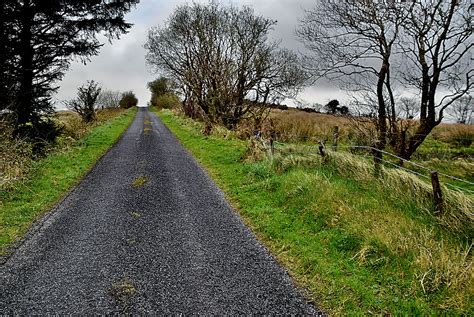 Bushes Along Glenbane Road © Kenneth Allen Cc By Sa20 Geograph