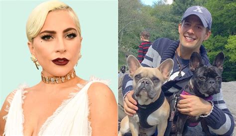 Lo Condenan Por El Caso Del Paseador De Perros De Lady Gaga