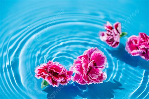 Flowers Floating In The Water During The Day Pink Flowers Background