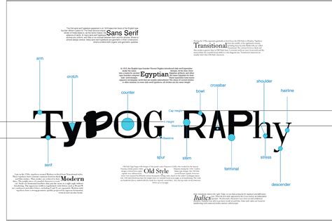 Anatomy Of Typography Poster