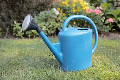 Gardening Tools List 12 Essential Gardening Tools To Own