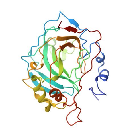 Gene P00918 Protein CA2 Domains And Structures CanSAR Ai