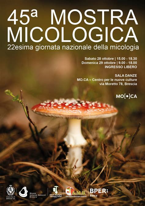 MOSTRA MICOLOGICA MO CA