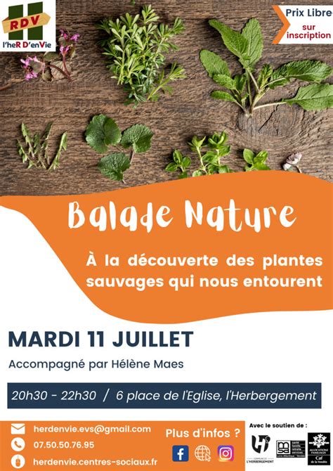 Balade Nature L Herbergement Terres De Montaigu