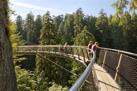 6 Jembatan Terkeren Di Dunia Untuk Wisatawan Pejalan Kaki 3