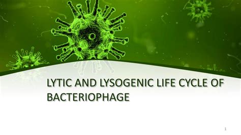 SOLUTION: Life cycle of bacteriophage - Studypool