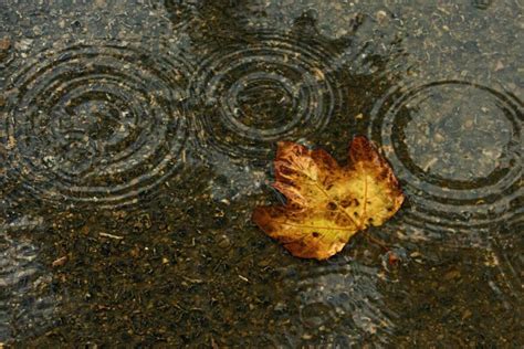 Cambiazo otoñal con lluvias nieve fresco y viento al final del finde