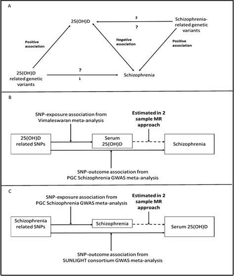 Bidirectional Mendelian randomization study of the association of ... 
