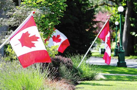 Honour Canada Day and Remembrance Day with a Canadian flag display ...