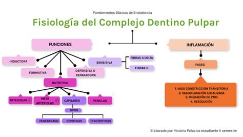 Fisiología del complejo Dentino Pulpar