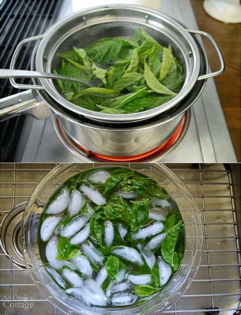 How To Freeze Basil 6 Ways Which Is Best An Oregon Cottage