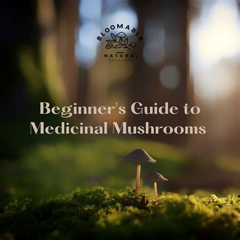 A Beginners Guide To Medicinal Mushrooms Bloomable Natural Products