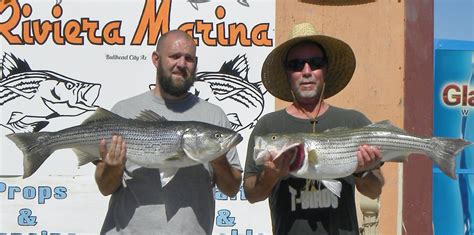 Colorado River Davis Dam Fish Report Davis Dam Nv