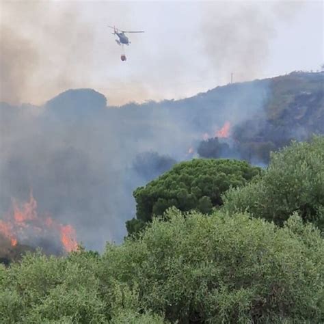 Incendio Nei Boschi Di Calatafimi Colpita La Zona Di Monte Pantano