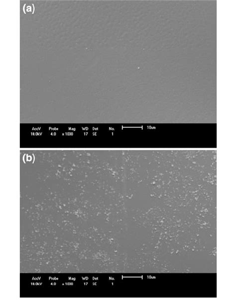 Sem Micrograph Of The Pvac Film Surface A Non Irradiated And B After Download Scientific