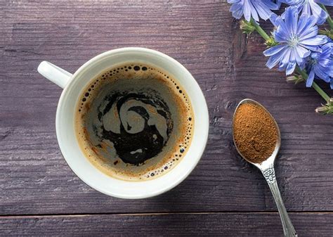 What Is Chicory Coffee Everything You Need To Know