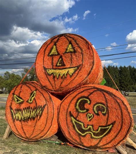 25 Great Pumpkin Patches in NJ