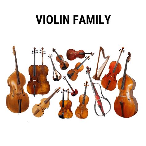 Violin Family