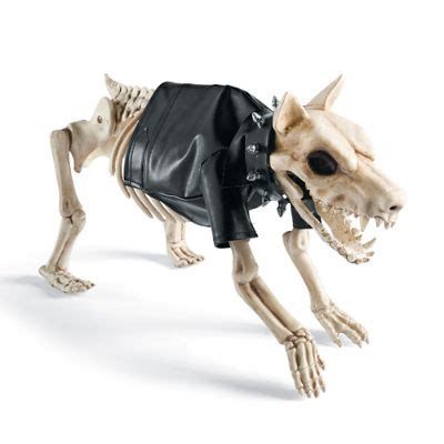 Costume for Small Skeleton Dog | Grandin Road