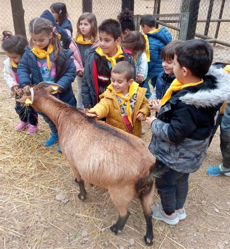 INICIEM UN NOU PROJECTE I SORTIM A LA GRANJA Escola Pont De La Cadena