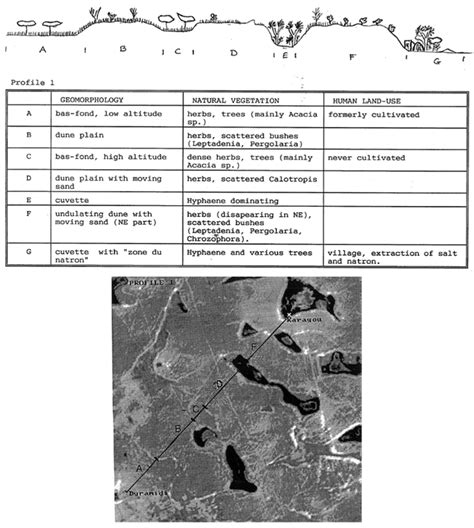 Land Saturation in SE Niger: Triangulating Qualitative and Quantitative