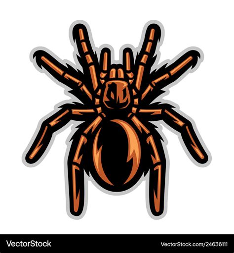 Tarantula Vector Png - Tarantula free icons and premium icon packs. - Fuck Rules