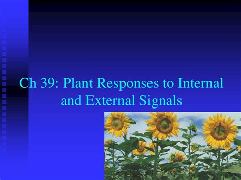 Ppt Ch 39 Plant Responses To Internal And External Signals