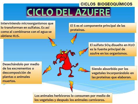 Mapa Conceptual Del Ciclo Del Azufre Necto Porn Sex Picture