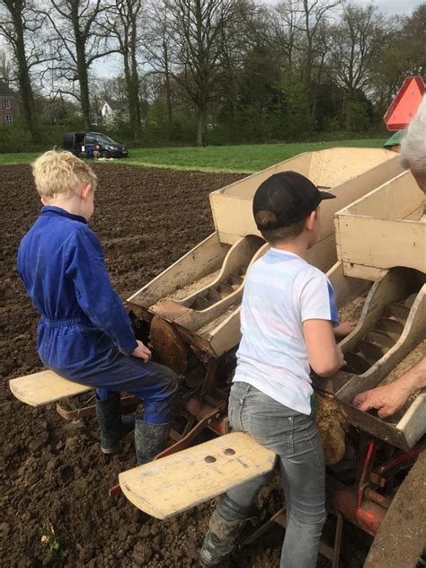 Aardappels Poten Bhtc Nl