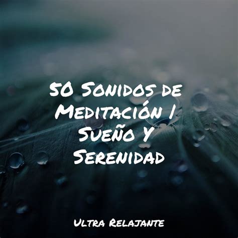 Sonidos De Meditaci N Sue O Y Serenidad Album By Canciones De