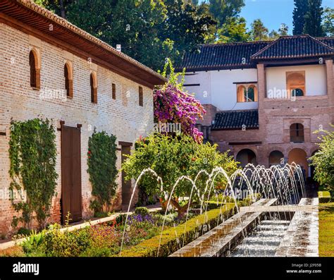 Generalife Alhambra White Orange Tree Schlossgarten Granada