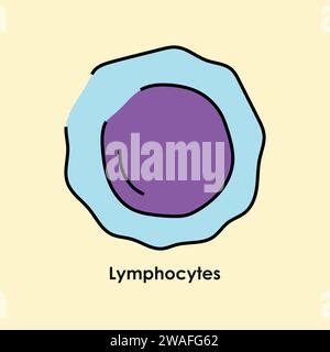 Lymphocytes Color Icon White Blood Cells In The Blood Vessels Vector