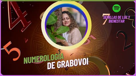 Descubre la Numerología de Grabovoi Marcela Reyes Sanando YouTube