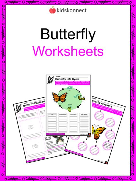 Butterfly Facts & Worksheets | Origin, Anatomy, Kinds, Behavior