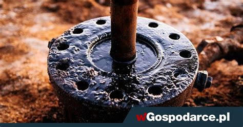 Opec I Jego Sojusznicy Zredukuj Wydobycie Ropy Wgospodarce Pl