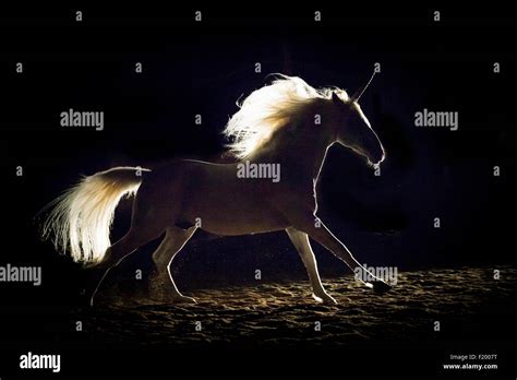Real Life Unicorn Found