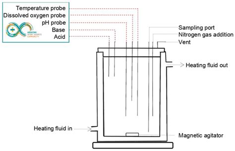 Schematic Representation Of The Bioreactor Module Download