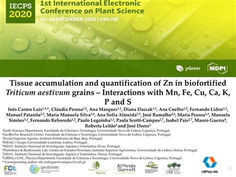 Pdf Tissue Accumulation And Quantification Of Zn In Biofortified