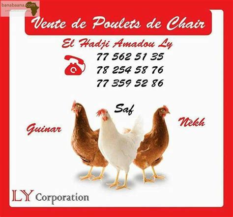 Achat Vente Animaux Poulet De Chair Dakar Banabaana