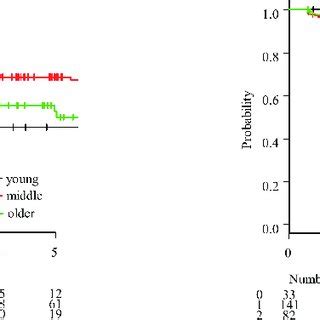 A Kaplan Meier Curve For Disease Free Survival Dfs B