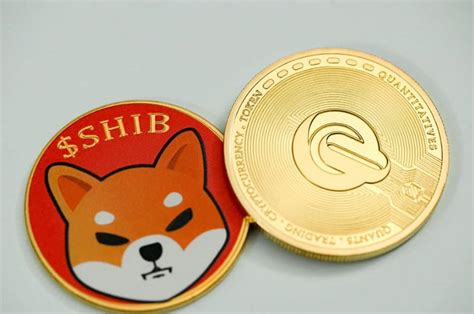 The Rise Of Shiba Inu Coin What You Need To Know