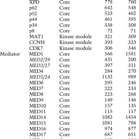 Overview Of Human And Yeast S Cerevisiae Tfiid Tfiih And Mediator