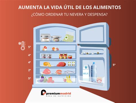 La Temperatura Ideal Para Conservar Tus Alimentos En La Nevera 2025