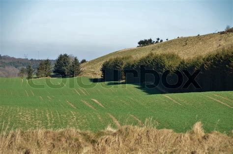 Glacial landscape in Jutland | Stock image | Colourbox