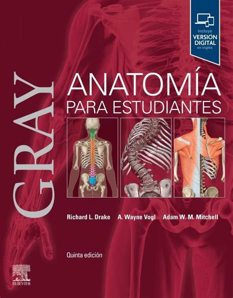 GRAY ANATOMíA PARA ESTUDIANTES Meditec S A