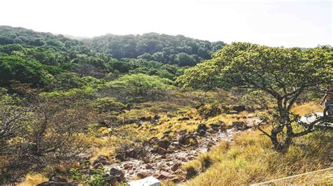 Rain In Costa Rica When To Expect Rain And What To Do