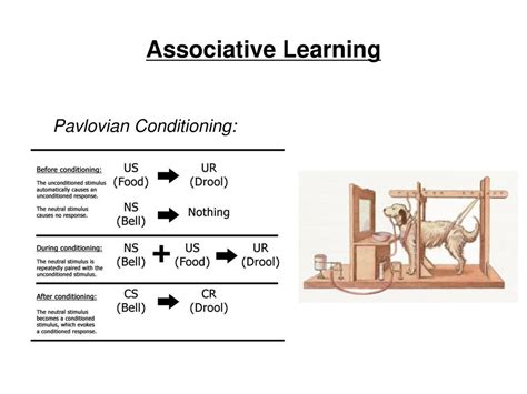 Psychology 3510 Learning Lecture 1 Ppt Download