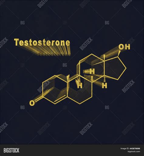 Testosterone Hormone Image Photo Free Trial Bigstock