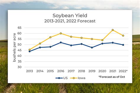 Insights Into USDA Reports