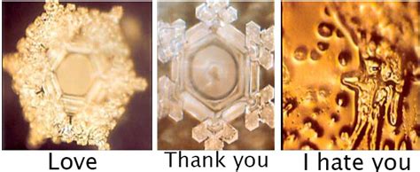 432 Hz Water The Creator Is You Masaru Emoto S Experiment